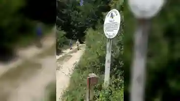 Vargesztes Arnyas Osveny