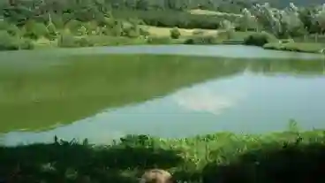 Vargesztes Horgaszto