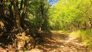 Varpalota Varvolgy Tanosveny 02