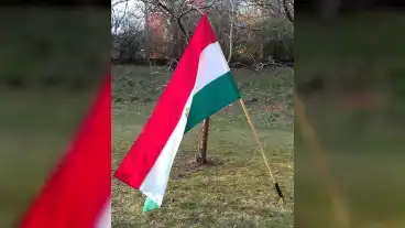 Varpalota Wass Albert Emlekpark