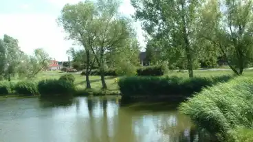 Veresegyhazi Pamut To