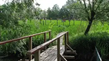 Veresegyhazi Tavak Tanosveny 01