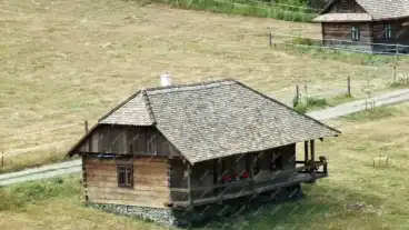 Veroce Wass Albert Muzeum