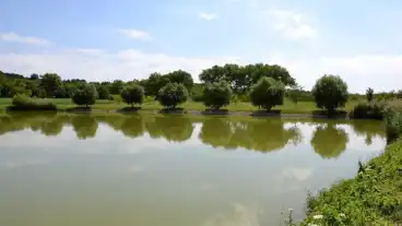 Vertesboglar Horgaszto