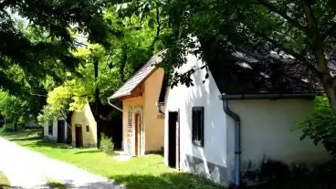 Vertesboglar Pincesor