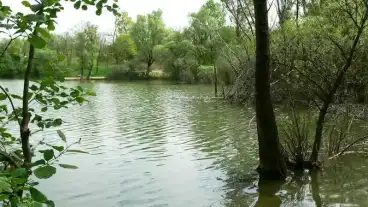 Vertessomlo Horgaszto