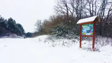 Veszprem Rab Maria Tanosveny 1