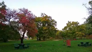 Veszpremfajsz Parkerdo