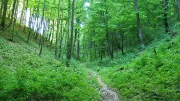 Visegrad Erdoanya Tanosveny 1