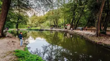 Visegrad Pisztrangos Tavak 1