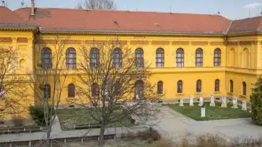 Wosinsky Mor Muzeum 0