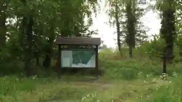 Zalaegerszeg Erdei Tanosveny 1