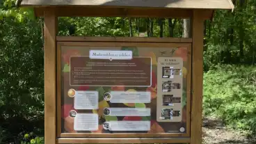 Zalaegerszeg Madarerdo Tanosveny 1