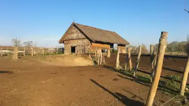 Zalakomar Kapolnapusztai Bivalyrezervatum 07