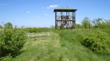 Zsadany Kisvatyoni Tanosveny