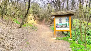 Zsambek Szt Norbert Tanosveny 1